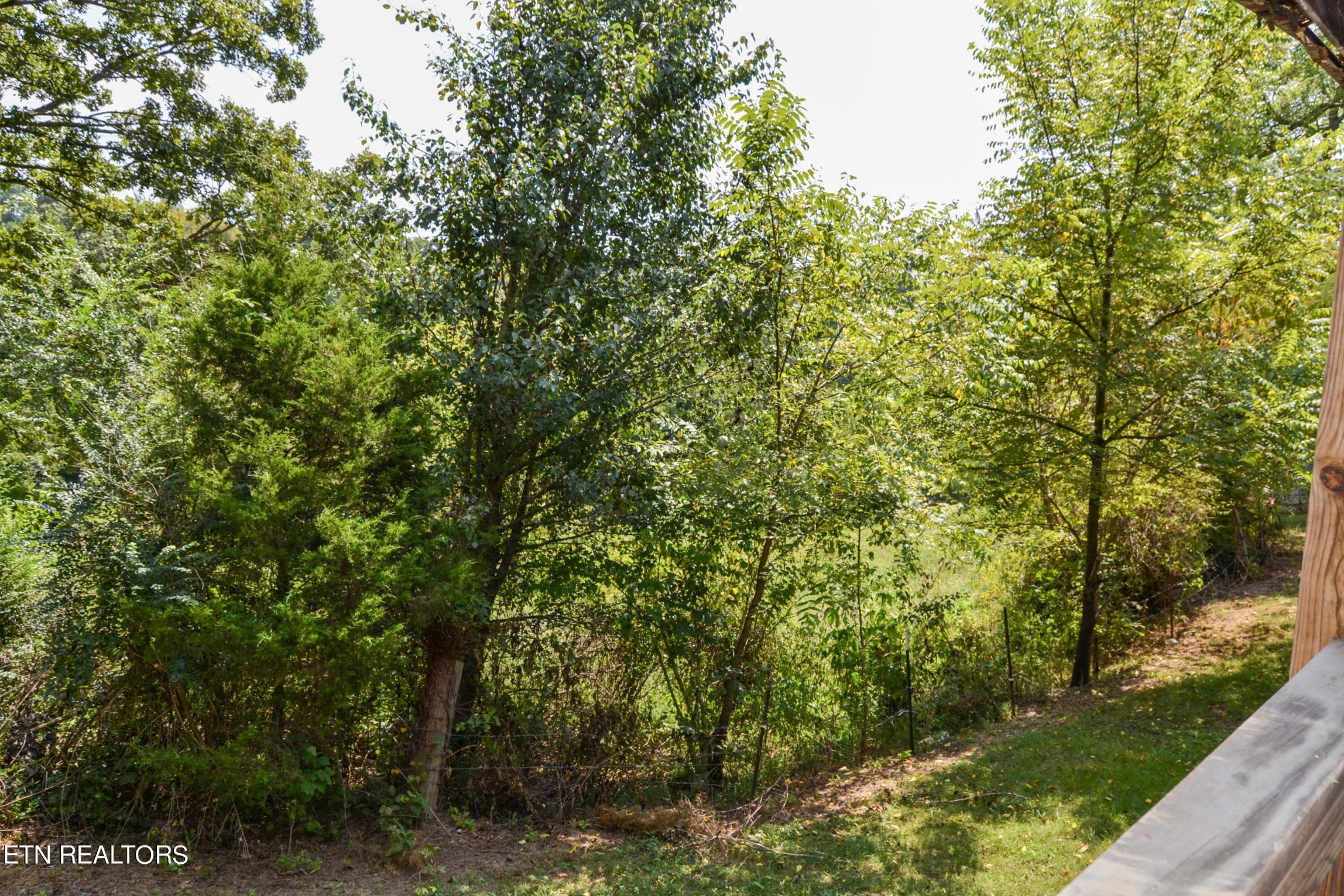 147 Tom Davis Road Livingston, TN 38570 - Photo 25 of 29 a view of a yard with a tree