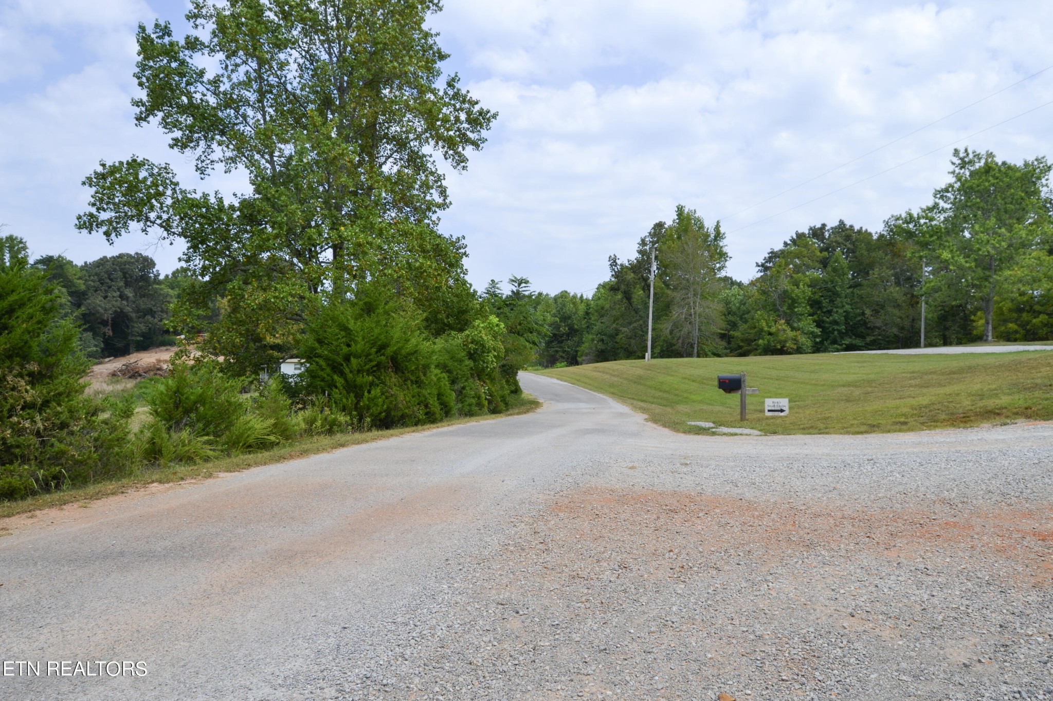 147 Tom Davis Road Livingston, TN 38570 - Photo 28 of 29 a view of a field with a trees in the background