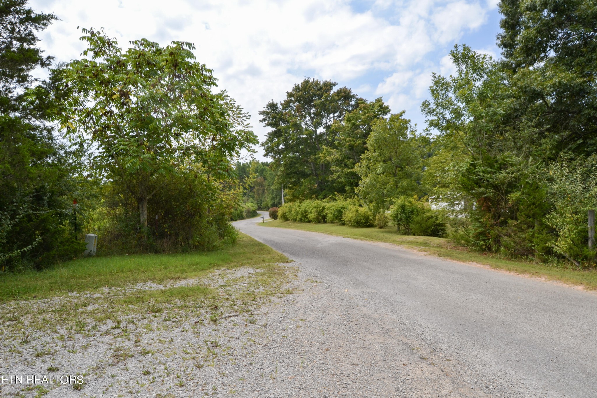 147 Tom Davis Road Livingston, TN 38570 - Photo 29 of 29 a view of a yard with a trees