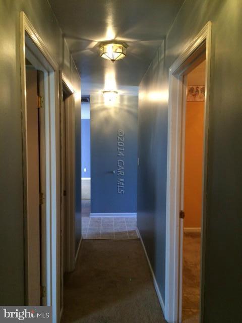 27063 Walnut Tree Road Eden, MD 21822 - Photo 19 of 22 a view of gallery