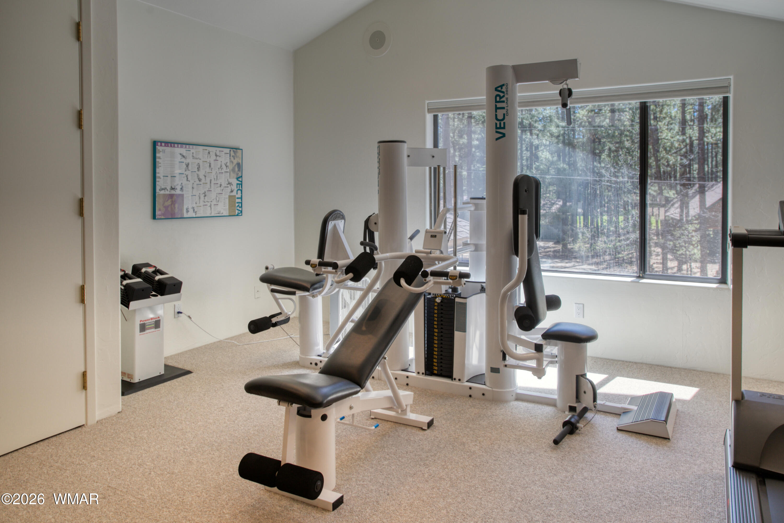 2896 Aspen Road Pinetop, AZ 85935 - Photo 36 of 75 a view of a room with gym equipment