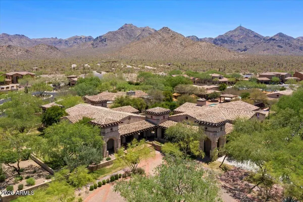 a view of a yard with plants and a large tree