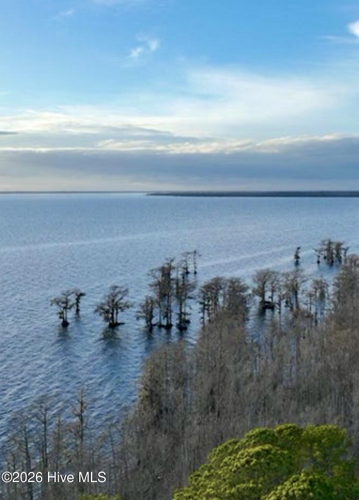 448 Batts Island Road Edenton, NC 27932 - Photo 12 of 12 IMG_0099