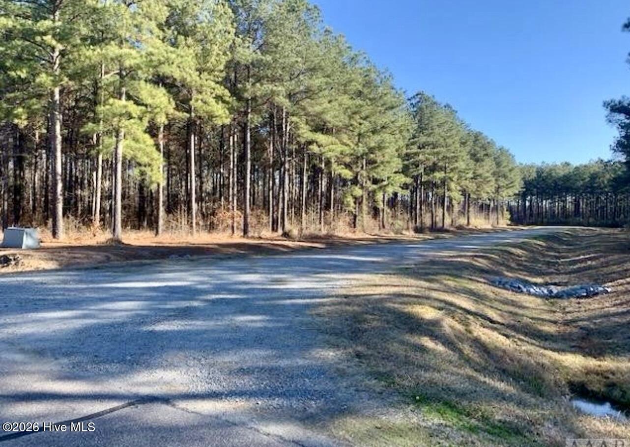 448 Batts Island Road Edenton, NC 27932 - Photo 3 of 12 IMG_0094