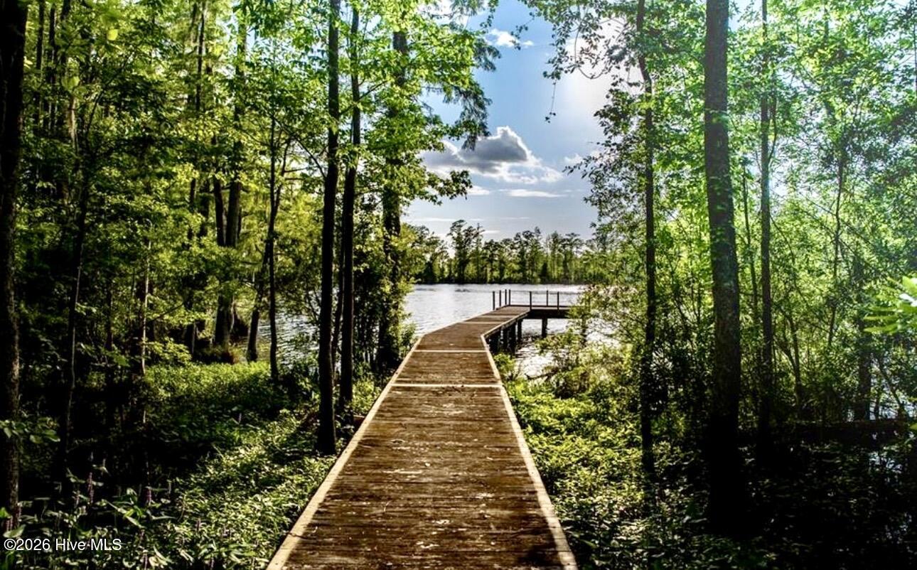 448 Batts Island Road Edenton, NC 27932 - Photo 7 of 12 IMG_0096