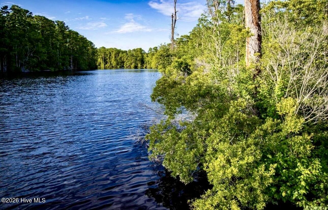 448 Batts Island Road Edenton, NC 27932 - Photo 10 of 12 IMG_0095