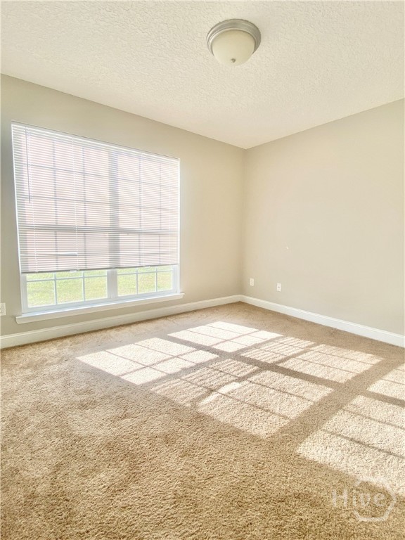 42 Autumn Rift Road Midway, GA 31320 - Photo 5 of 31