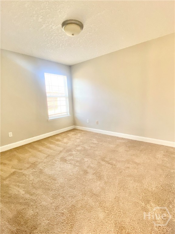 42 Autumn Rift Road Midway, GA 31320 - Photo 10 of 31