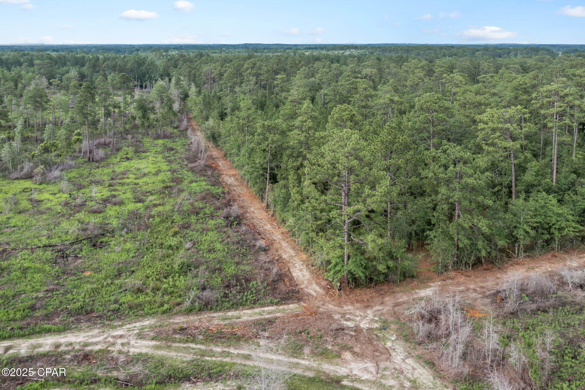 Xxx Cope Road Chipley, FL 32428 - Photo 33 of 34