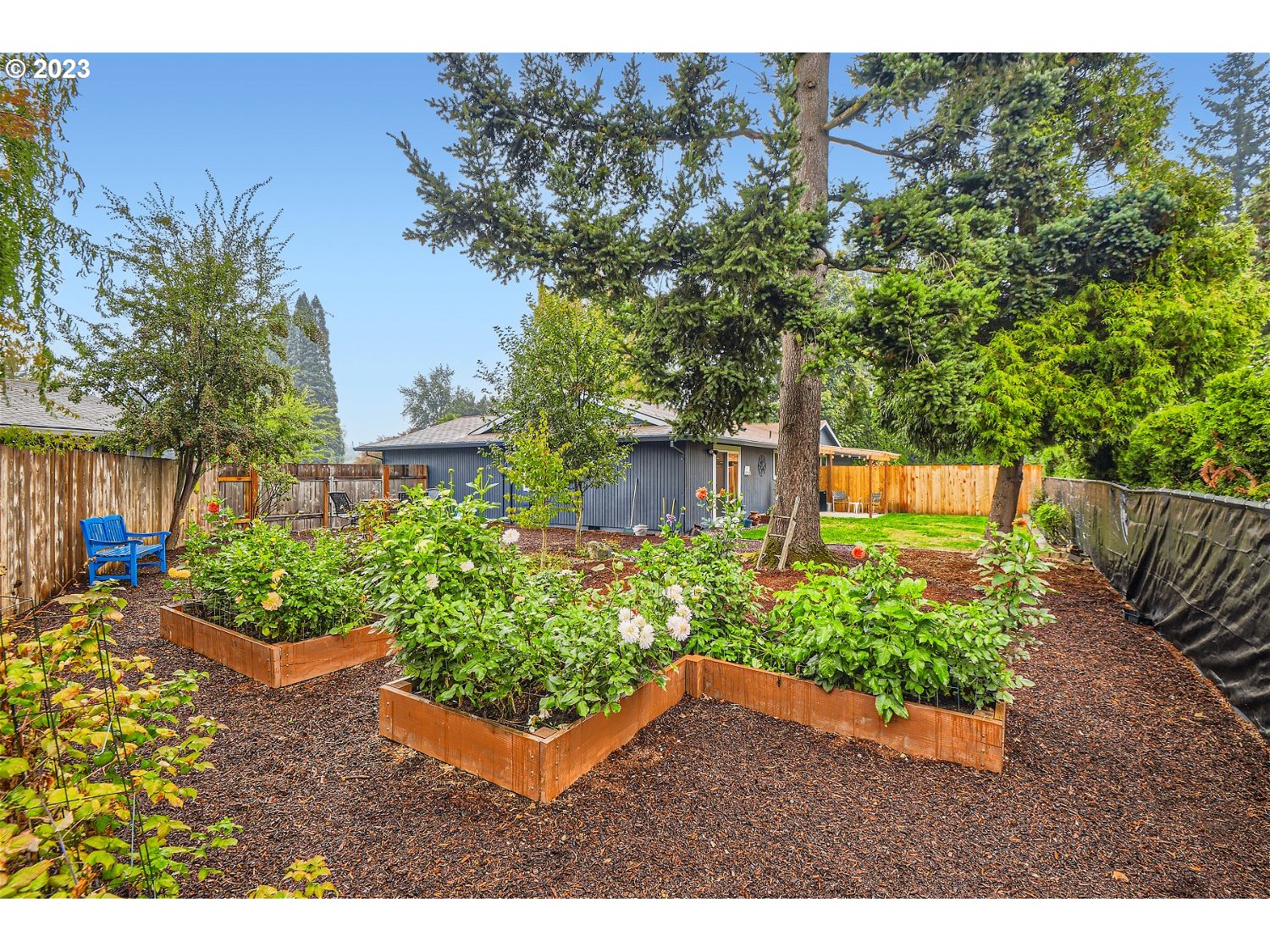 885 Southeast Lambert Circle Gresham, OR 97080 - Photo 24 of 45 a view of a backyard