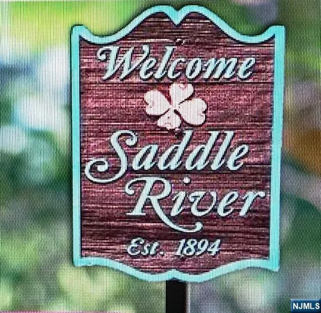 a view of a fountain is middle in the forest