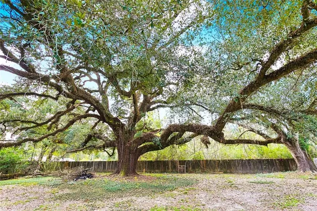 $395,000 | 14102 Jones Road, Ponchatoula, LA 70454