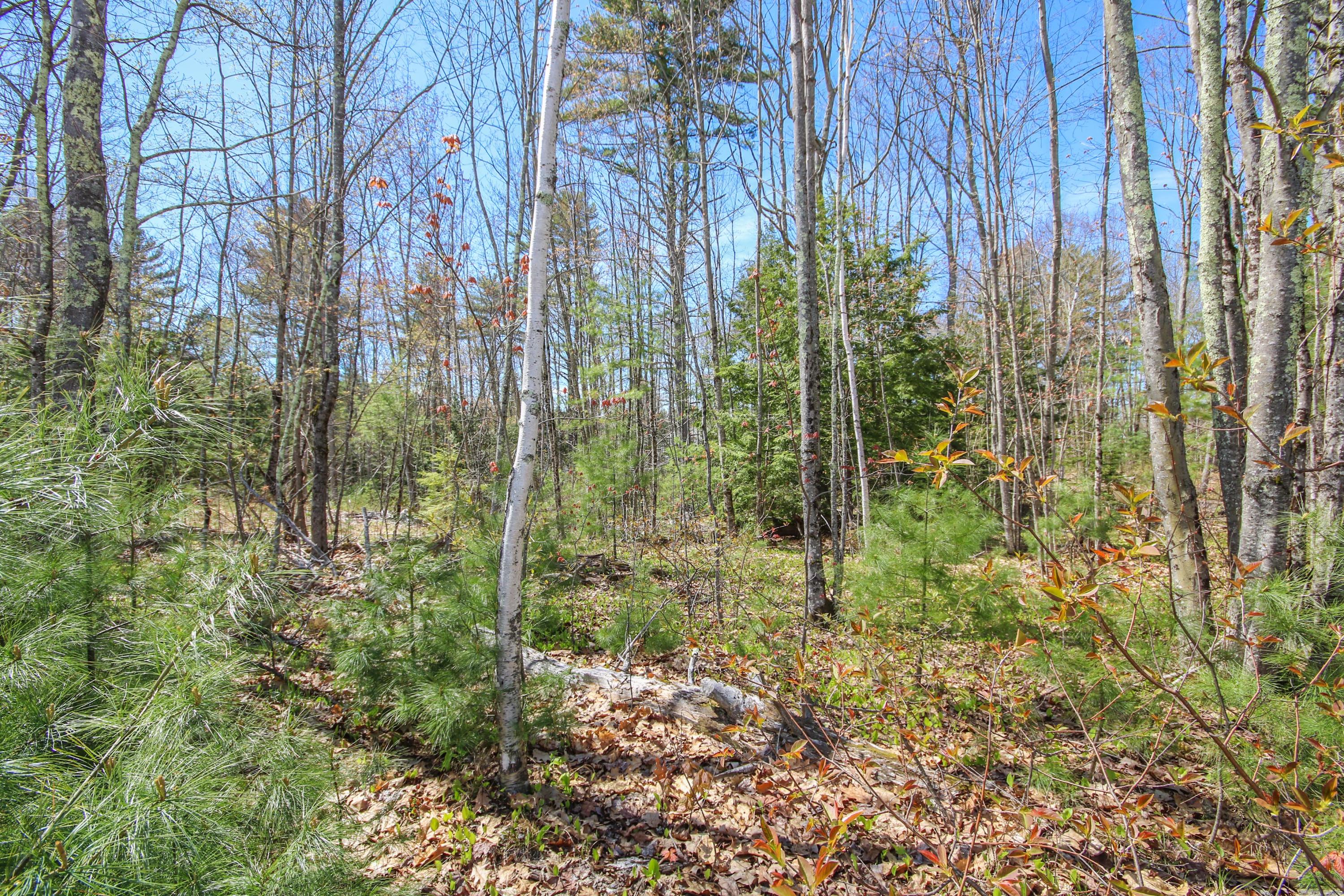 125 A Watson Mill Road Saco, ME 04072 - Photo 5 of 11 Watson Mill Rd