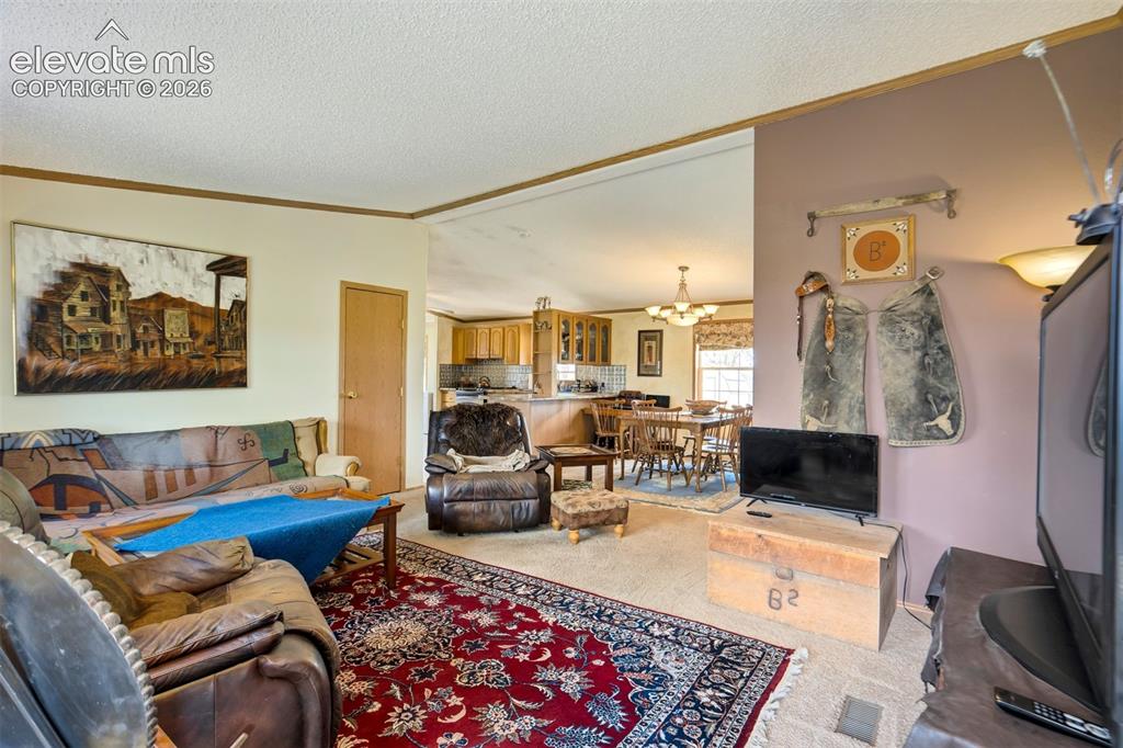 22120 McDaniels Road Calhan, CO 80808 - Photo 3 of 49