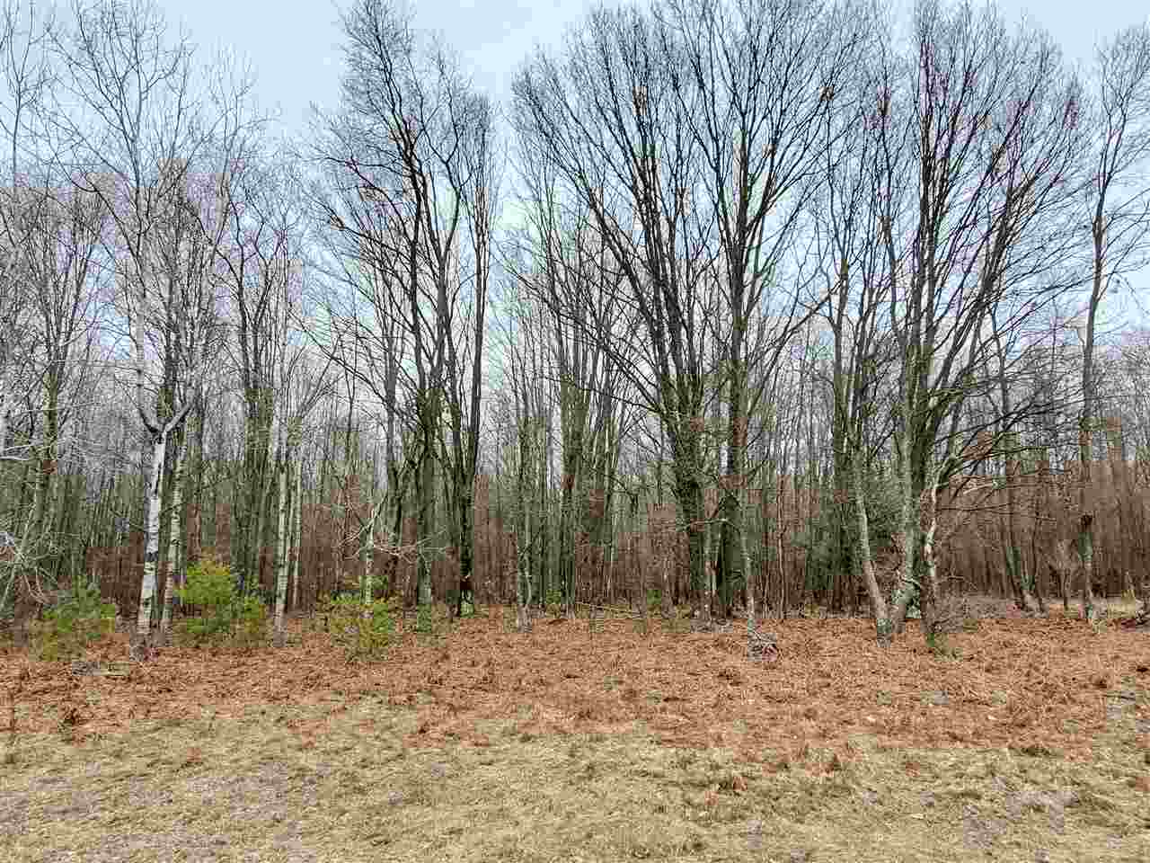 12262 Kerry Road Brethren, MI 49619 - Photo 51 of 95 1885414-50.JPG