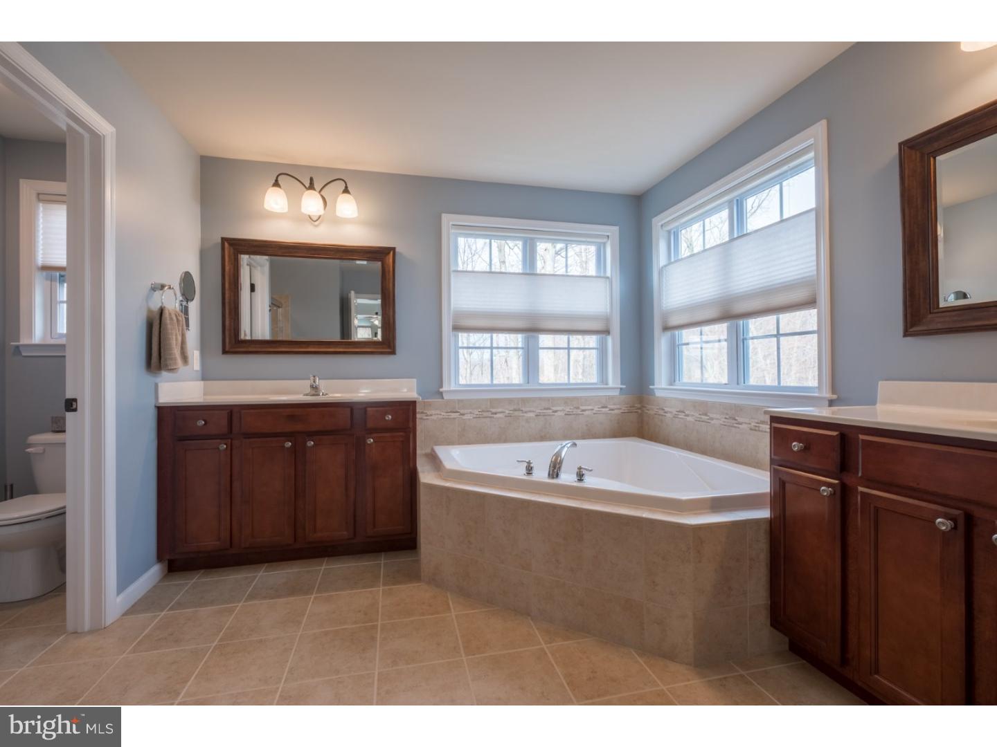 3313 Alydar Road Downingtown, PA 19335 - Photo 19 of 25 Master Bathroom