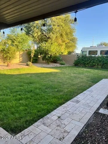 a view of a back yard
