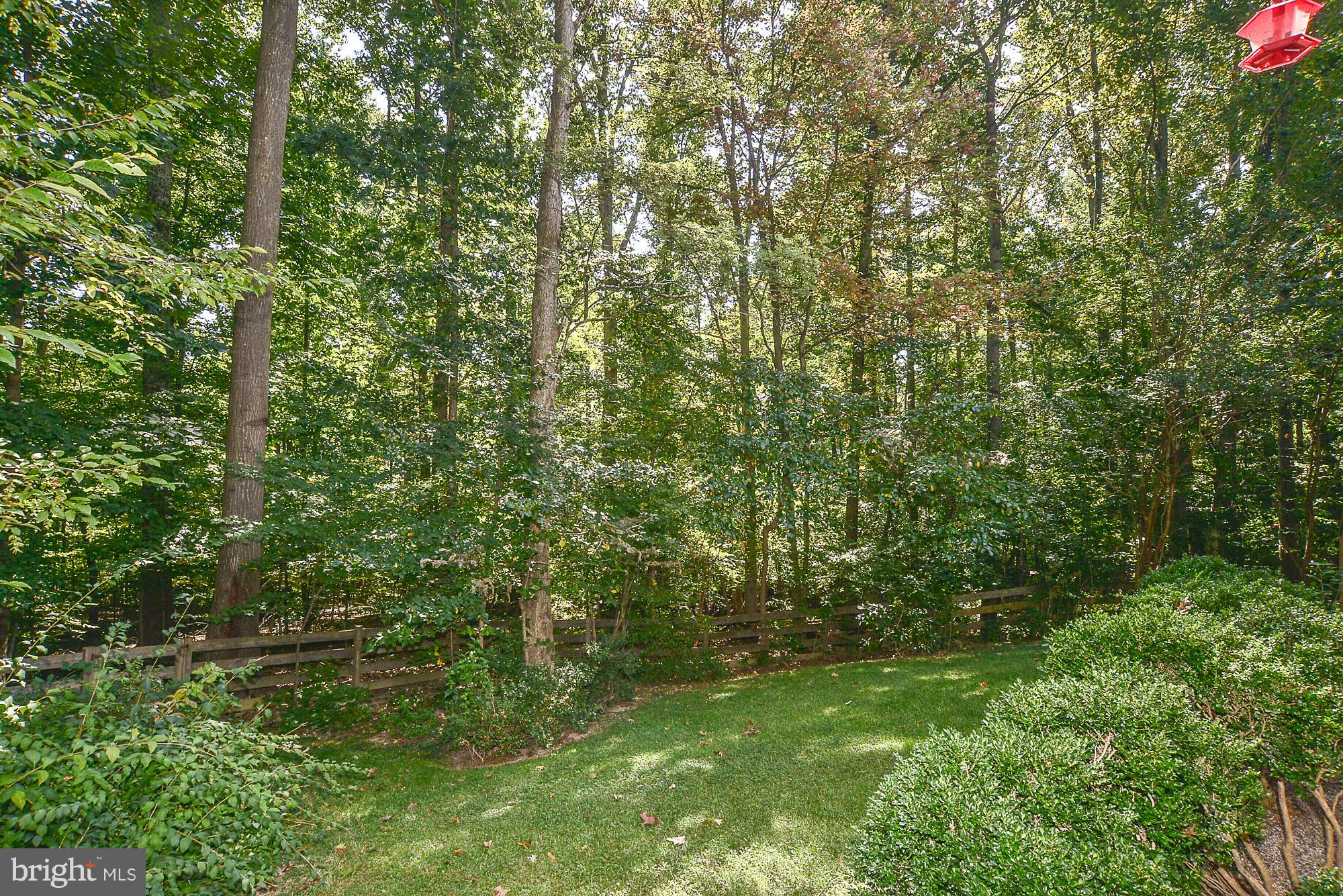 8457 Rushing Creek Court Springfield, VA 22153 - Photo 25 of 28 Private backyard