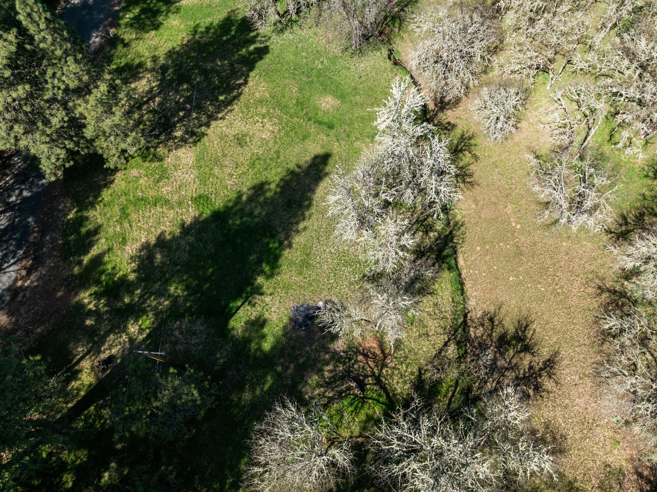 1237 Daisy Creek Road Jacksonville, OR 97530 - Photo 16 of 31 1237-daisy-creek-rd-dr-27