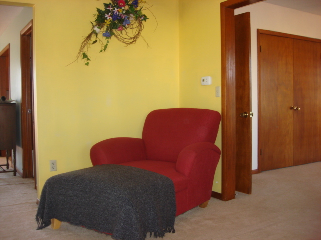 378 Van Orin Road Sublette, IL 61367 - Photo 11 of 25 a living room with couch chairs and a potted plant