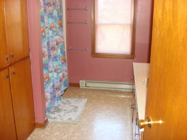 378 Van Orin Road Sublette, IL 61367 - Photo 19 of 25 a bathroom with a shower