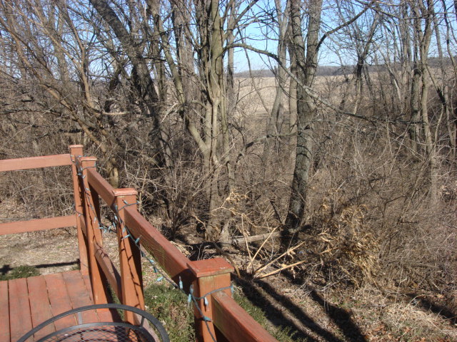 378 Van Orin Road Sublette, IL 61367 - Photo 21 of 25 a view of a yard with wooden stairs