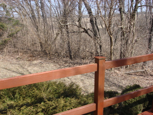 378 Van Orin Road Sublette, IL 61367 - Photo 22 of 25 a view of a yard with wooden fence