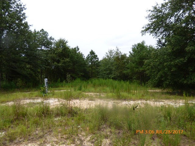785 Hutto Pond Road Aiken, SC 29805 - Photo 3 of 3