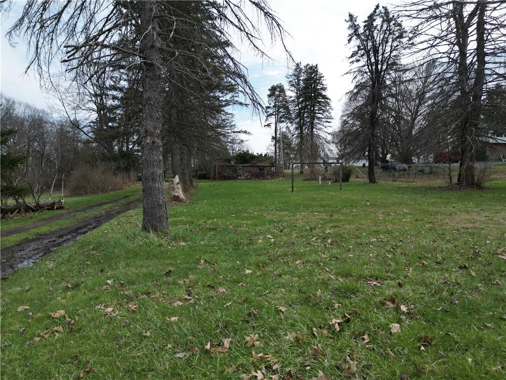 523 Unionville Road Butler, PA 16001 - Photo 3 of 15 a view of a field with a tree