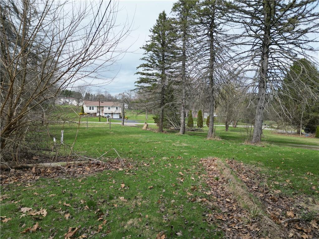523 Unionville Road Butler, PA 16001 - Photo 6 of 15 a view of a park with large trees