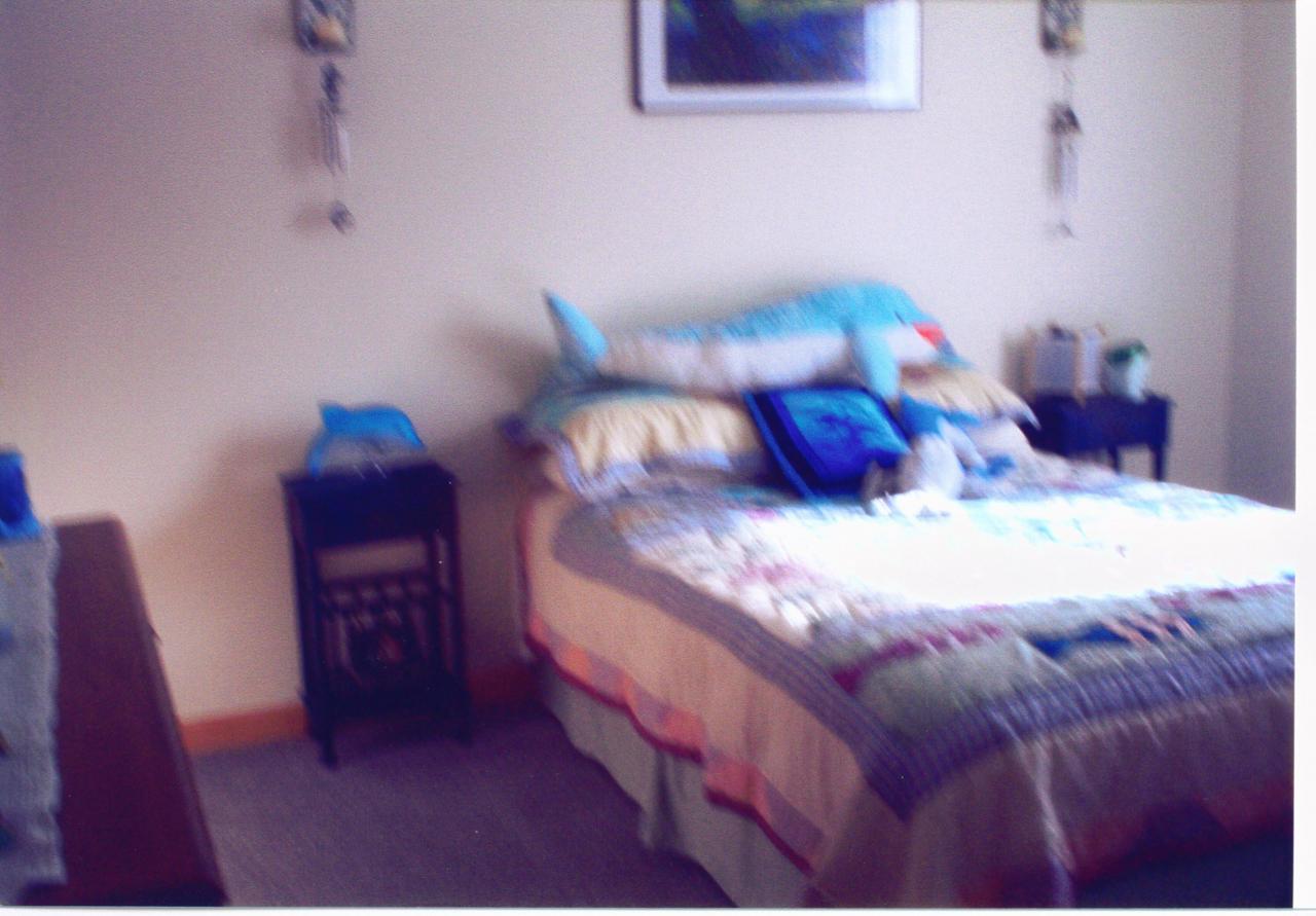 679 Hampstead Road Bushkill, PA 18324 - Photo 5 of 10 a bed sitting in a bedroom next to a window