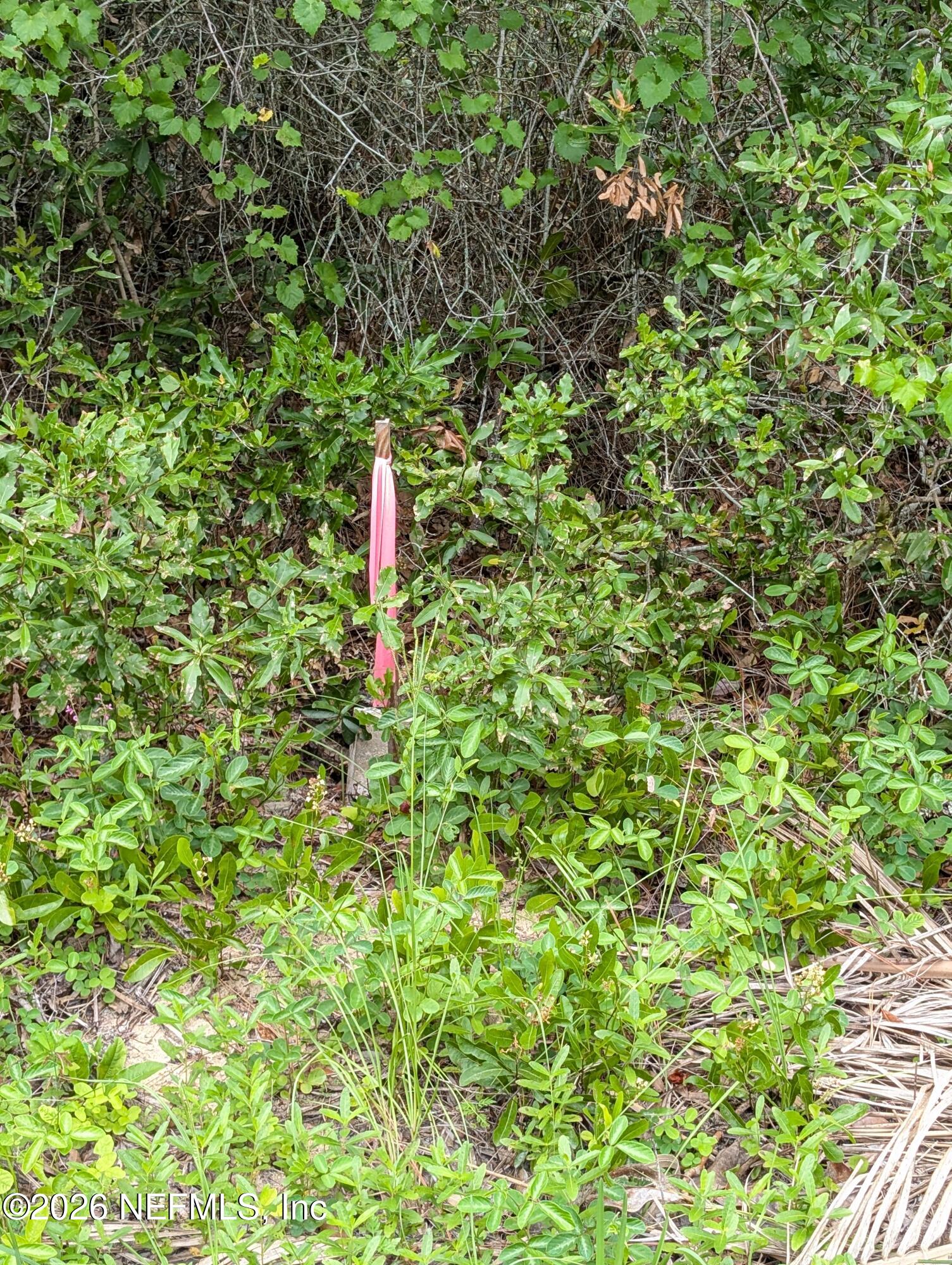 238 Keuka Road Interlachen, FL 32148 - Photo 5 of 11 238 KEUKA RD SURVEY STAKE SOUTH CORNER