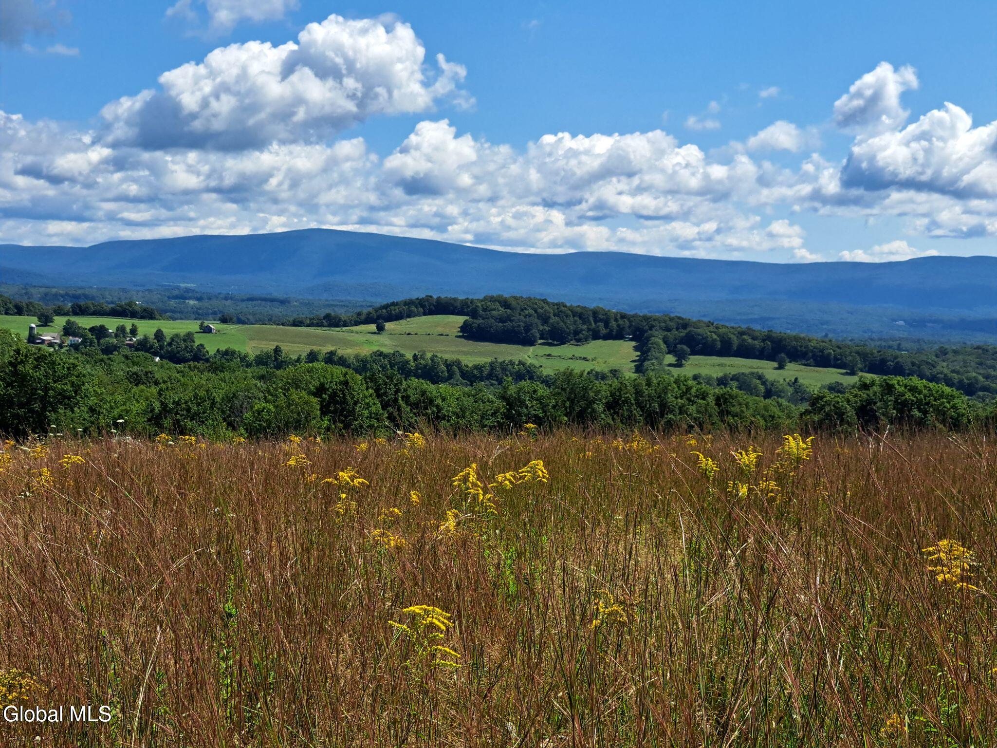 9.1 State Line Road White Creek, NY 12057 - Photo 28 of 72 29 Goldenrod