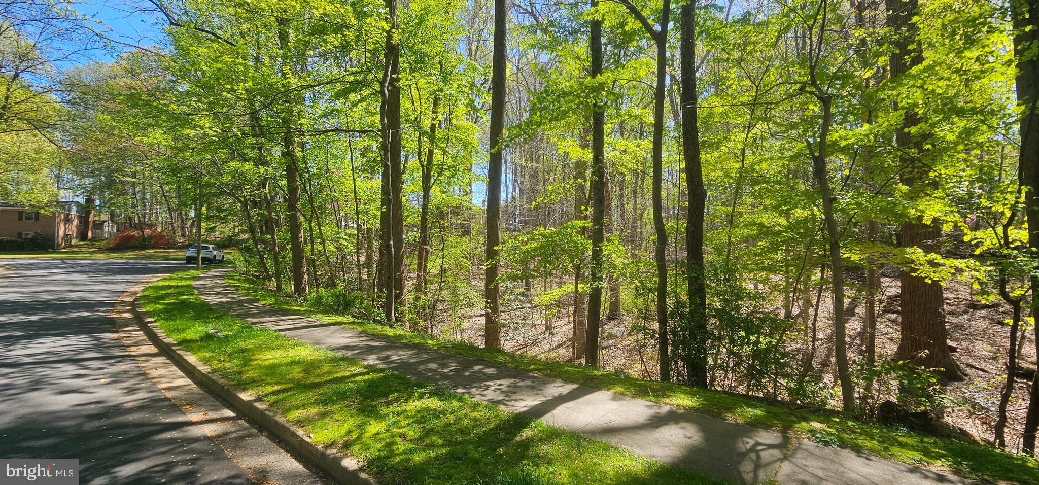 Dryburgh Springfield, VA 22152 - Photo 11 of 13