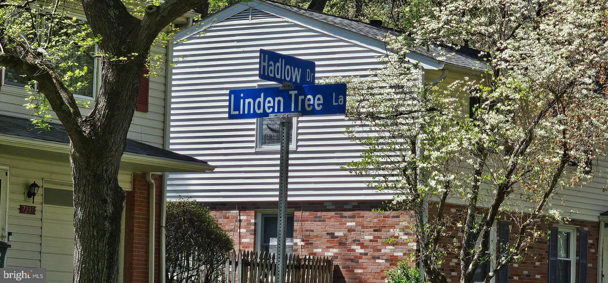 Dryburgh Springfield, VA 22152 - Photo 12 of 13 a view of a house with a tree
