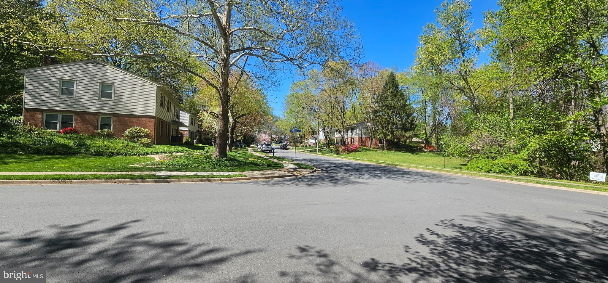 Dryburgh Springfield, VA 22152 - Photo 13 of 13 a view of a house with a yard and large trees