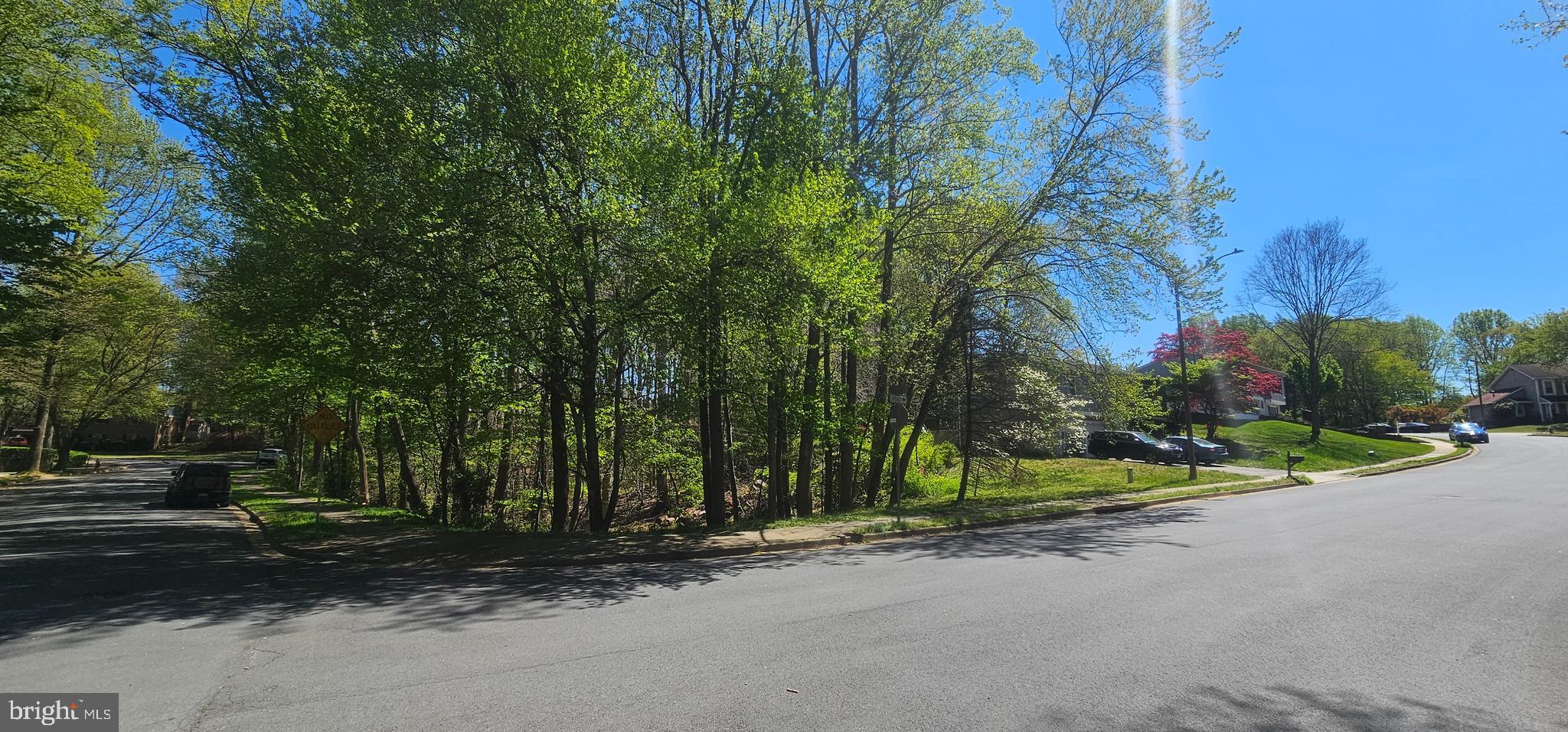 Dryburgh Springfield, VA 22152 - Photo 3 of 13 a view of a park