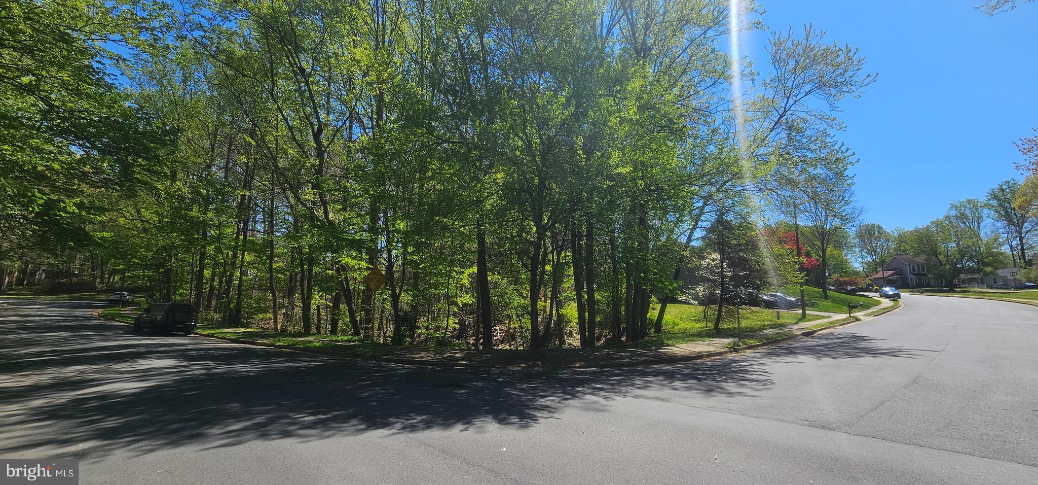 Dryburgh Springfield, VA 22152 - Photo 4 of 13 a backyard of a house with lots of green space