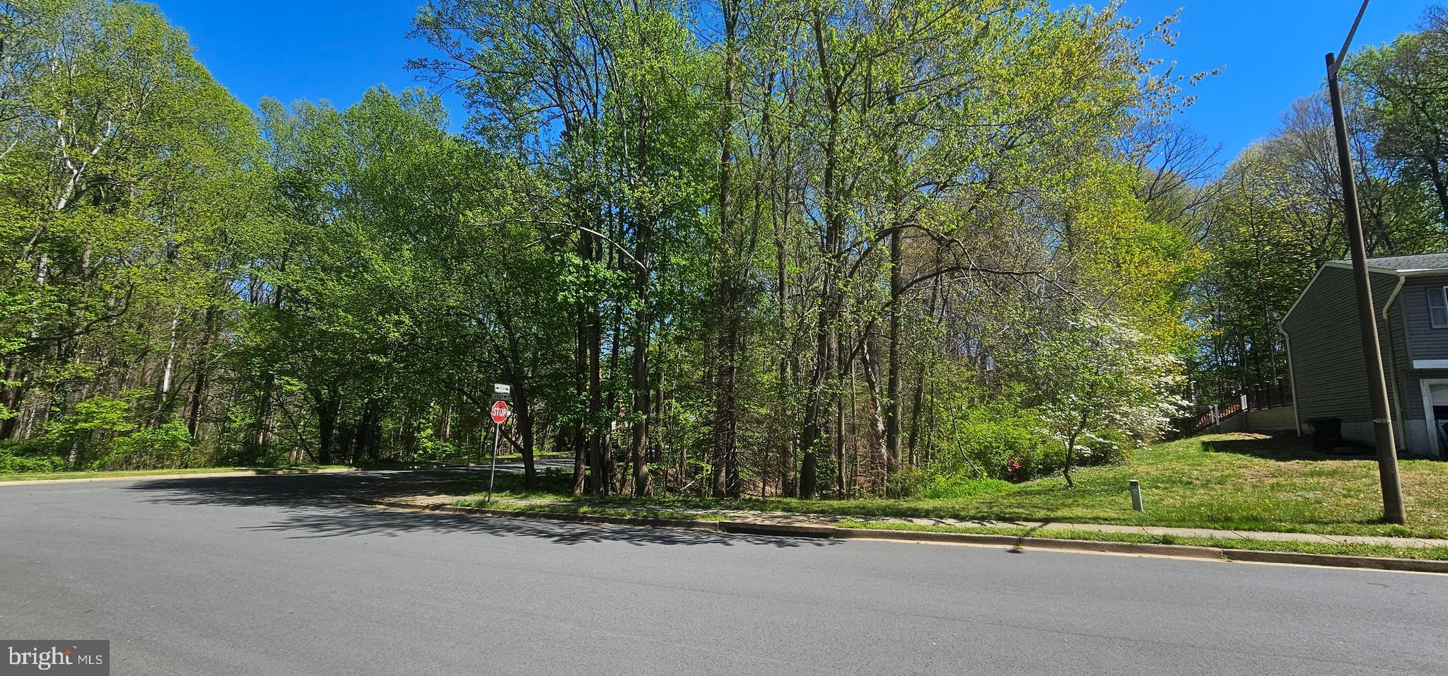 Dryburgh Springfield, VA 22152 - Photo 5 of 13 a view of a street with a house in the background