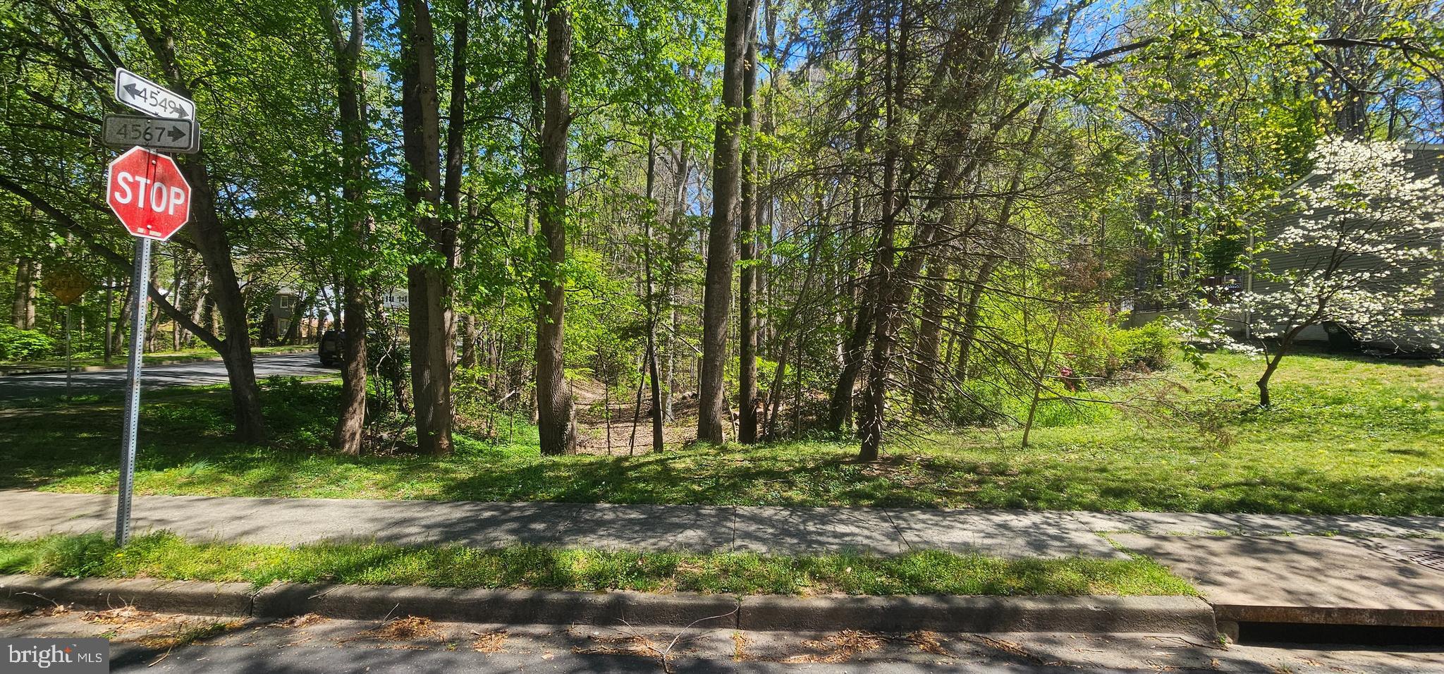 Dryburgh Springfield, VA 22152 - Photo 6 of 13 a flag is sitting in the middle of a yard