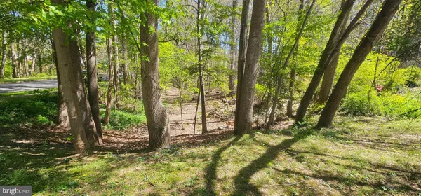 $99,000 | Dryburgh, Springfield, VA 22152