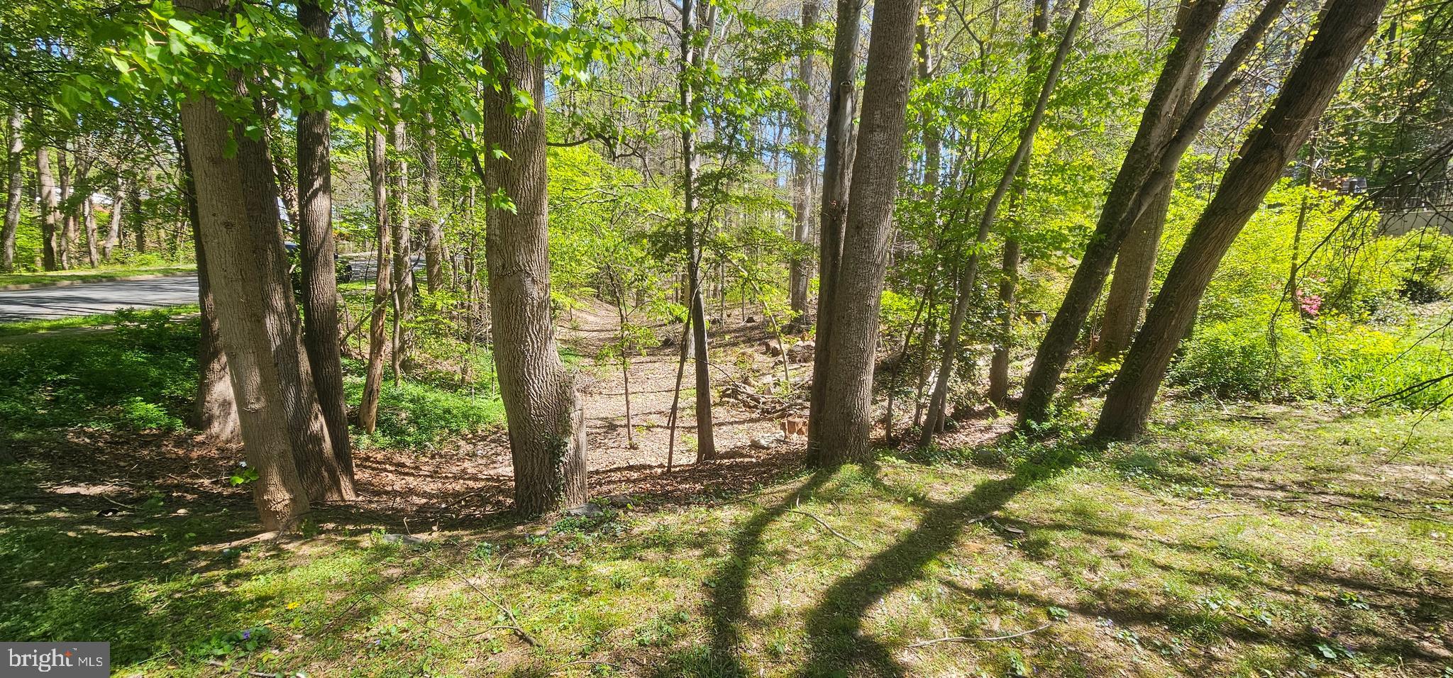 Dryburgh Springfield, VA 22152 - Photo 7 of 13 a view of outdoor space and trees