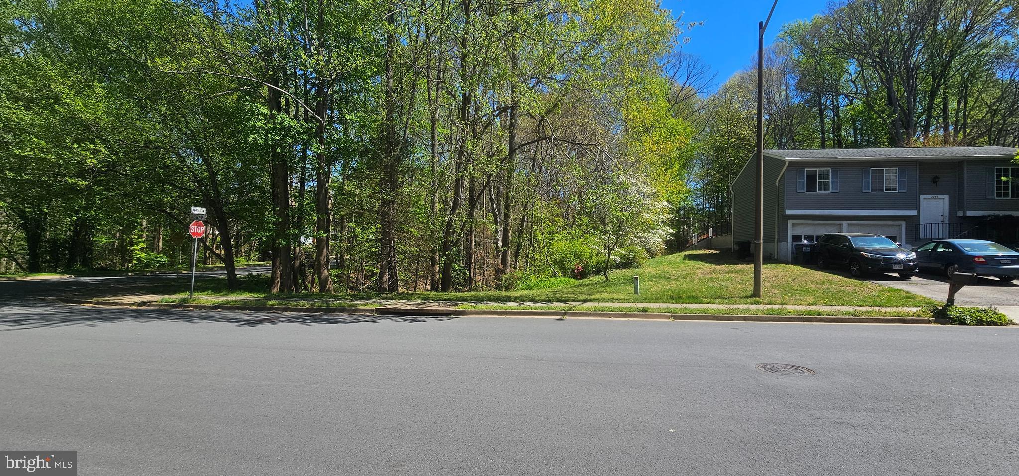 Dryburgh Springfield, VA 22152 - Photo 8 of 13 a view of road and trees in the background