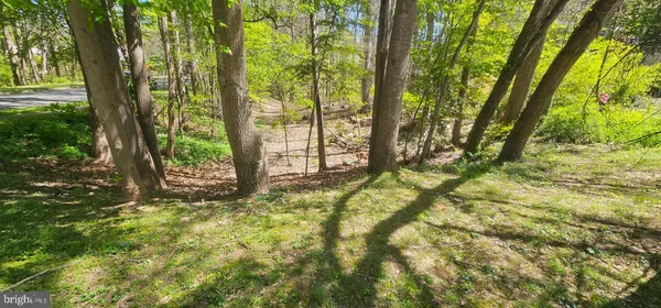 $99,000 | Dryburgh, Springfield, VA 22152