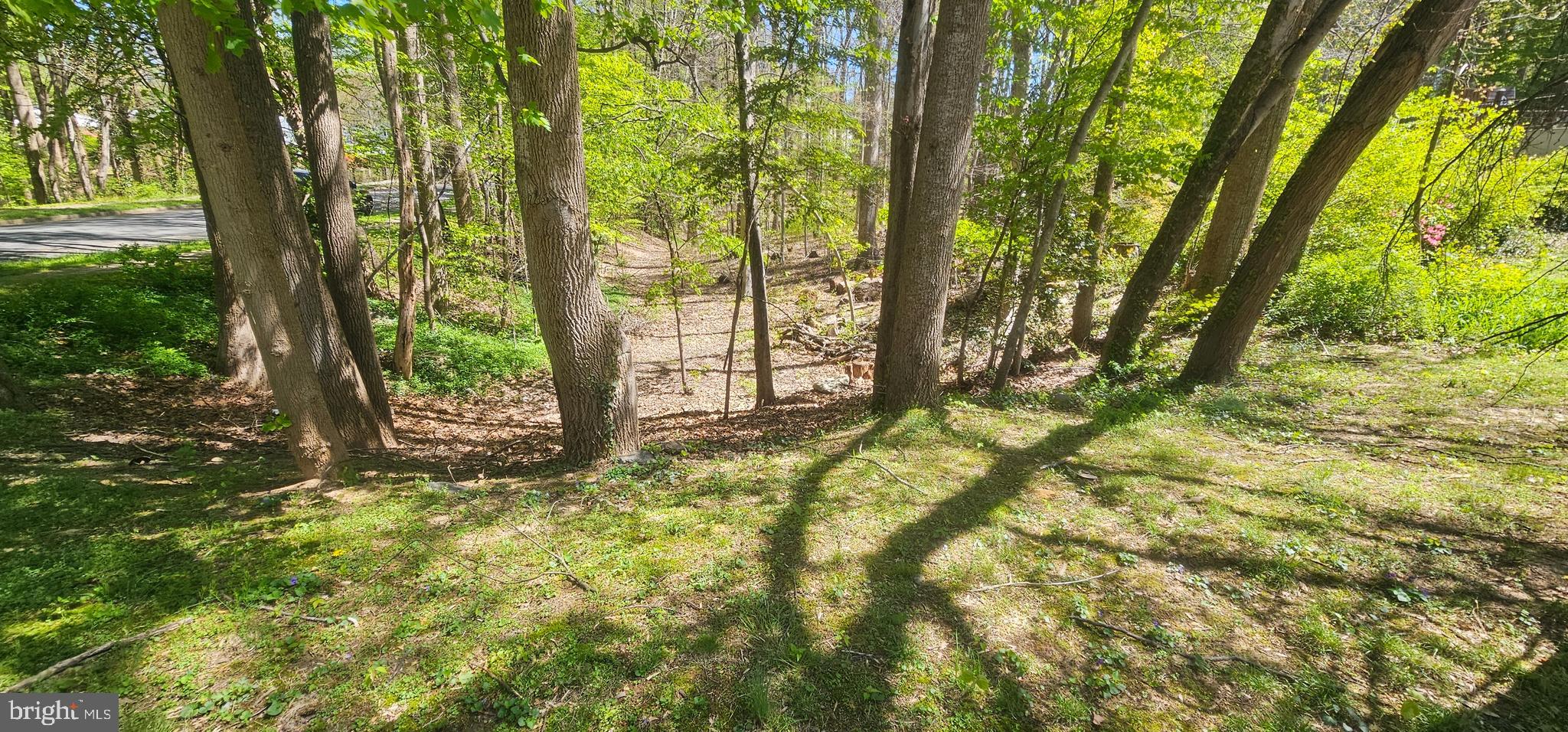 Dryburgh Springfield, VA 22152 - Photo 9 of 13 a view of backyard with green space