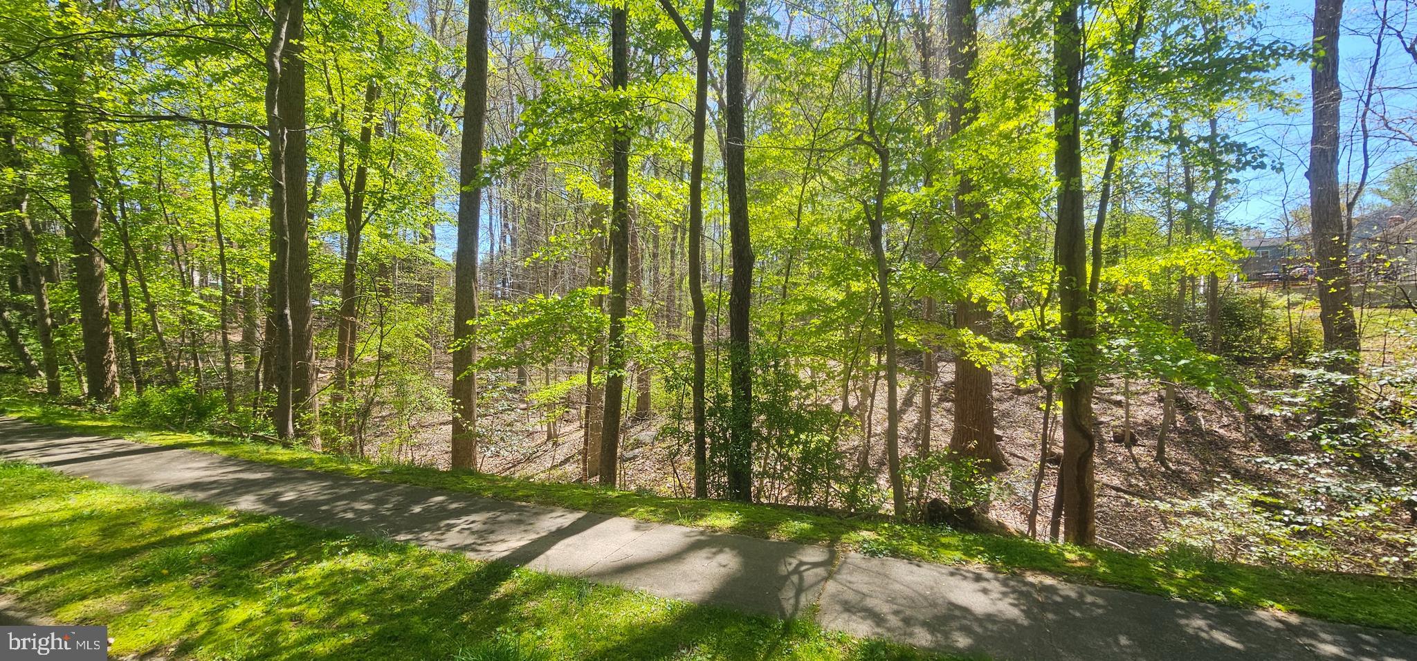 Dryburgh Springfield, VA 22152 - Photo 10 of 13 a view of backyard with garden