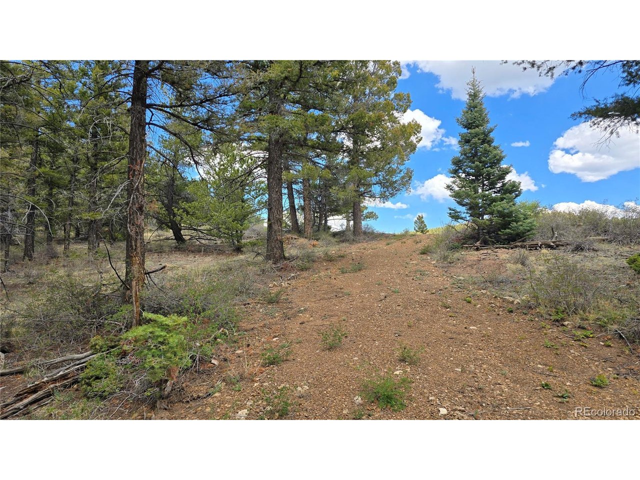 5825 Covington Road San Luis, CO 81152 - Photo 5 of 21 Gallery Image 5