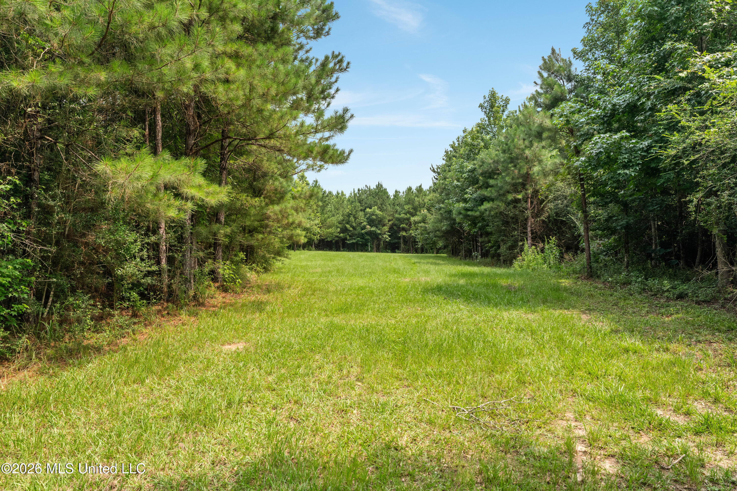 232 Knoxo Columbia Road Tylertown, MS 39667 - Photo 74 of 120 232_Knoxo_Columbia_Rd-74