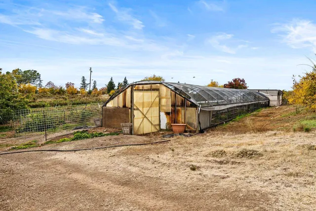 a view of a yard with plants