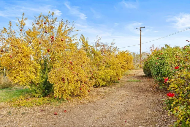 $1,749,000 | 13751 Indio Drive, Sloughhouse, CA 95683